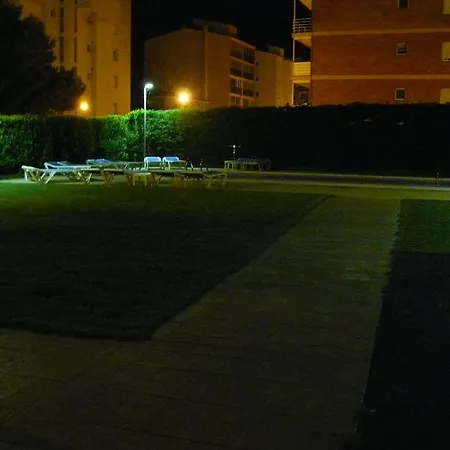 Bay רוזס